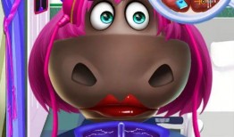 河马公主爆料视频大全集,揭秘幕后真相与精彩瞬间